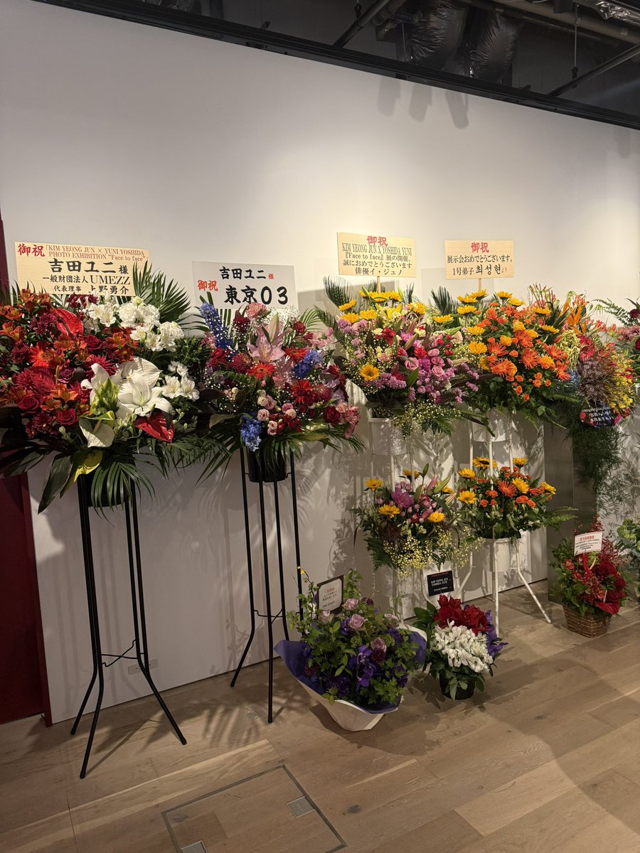 ここくまむ tweet media