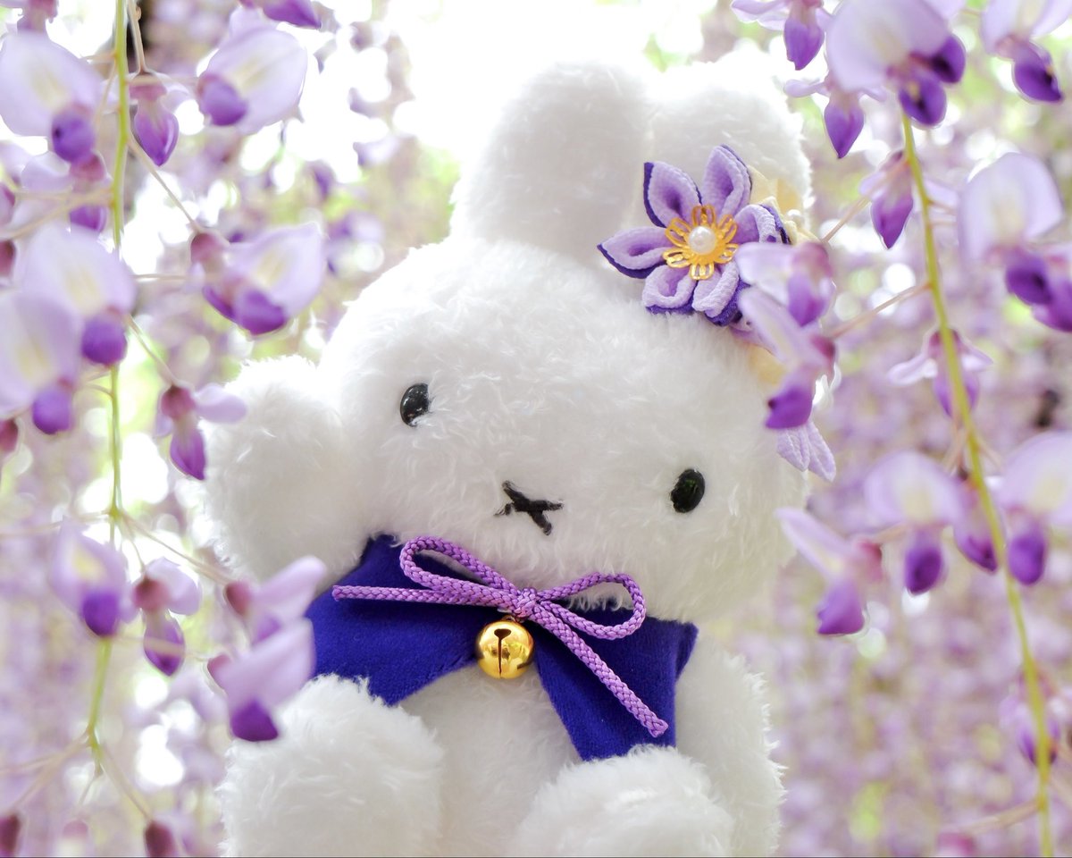 まる🐰 tweet media