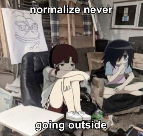 Tomoko Images tweet media