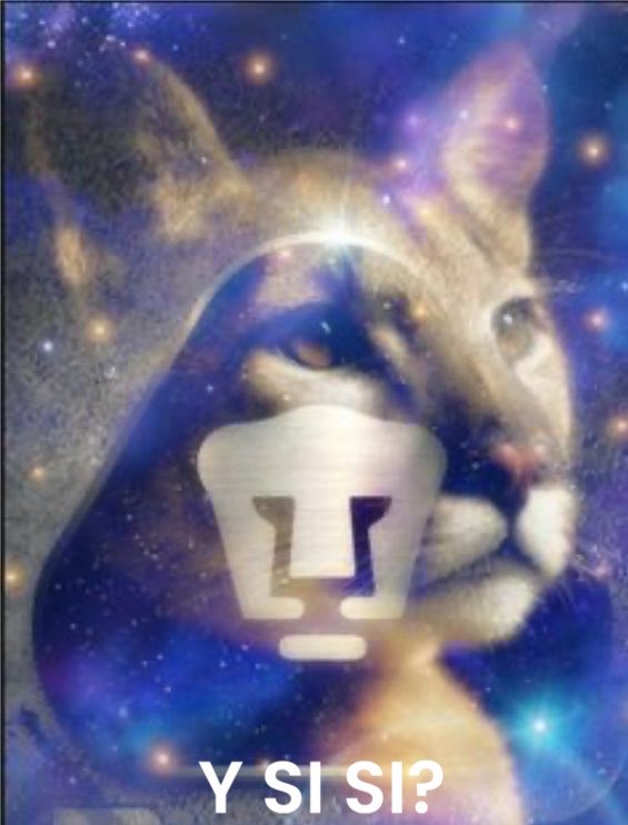 Momentos Sublimes de Pumas tweet media