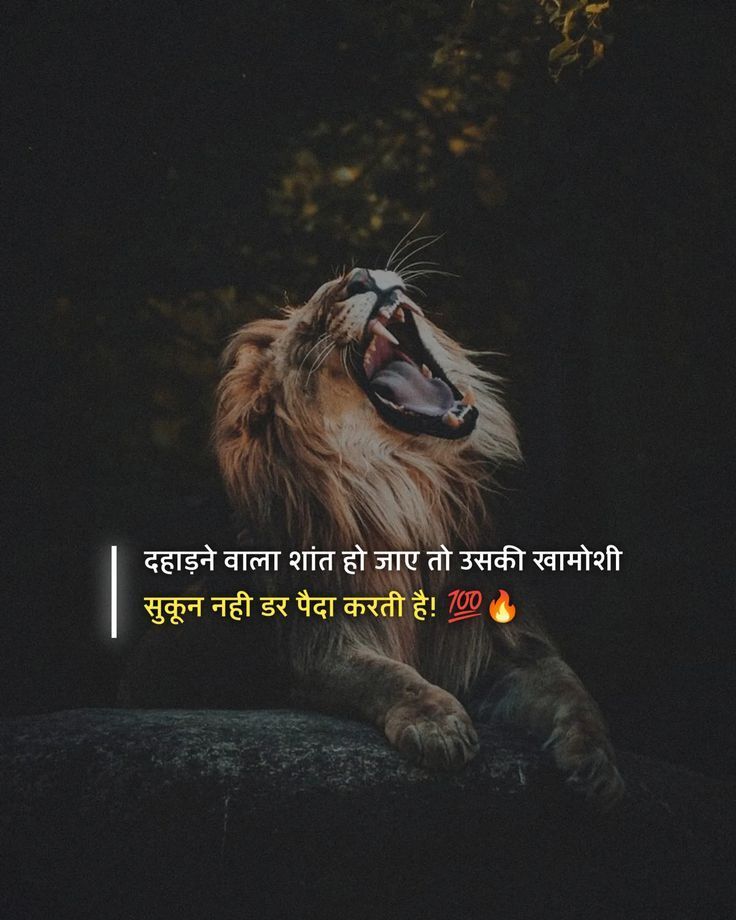 विधायक जी 𓀛 tweet media