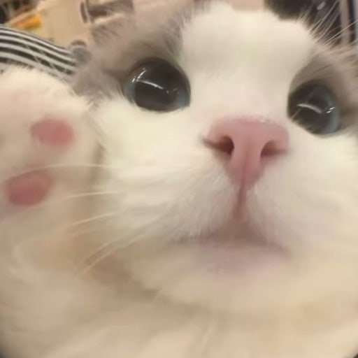 링아🌱 tweet media