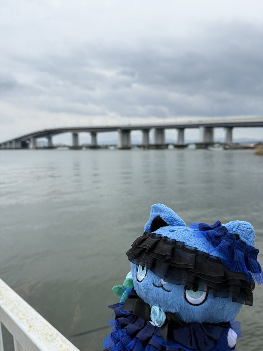 ジビー🥀 tweet media