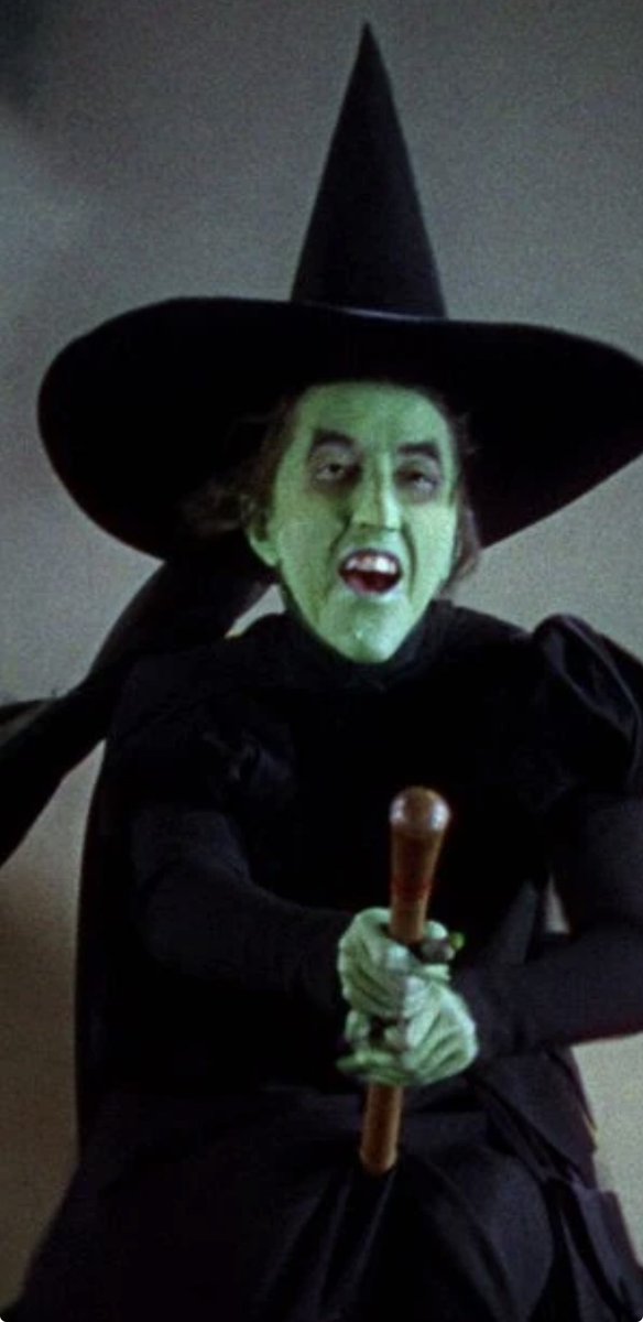 Liz Vallespir tweet media