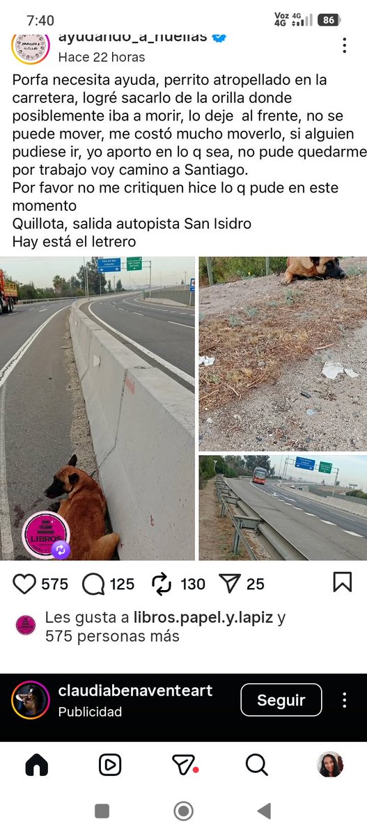 Katherin8782818's tweet image. @ayudando_a_huellas instagram  #Quillota salida Autopista San Isidro ,está en la foto el letrero atropellado Rt urgente