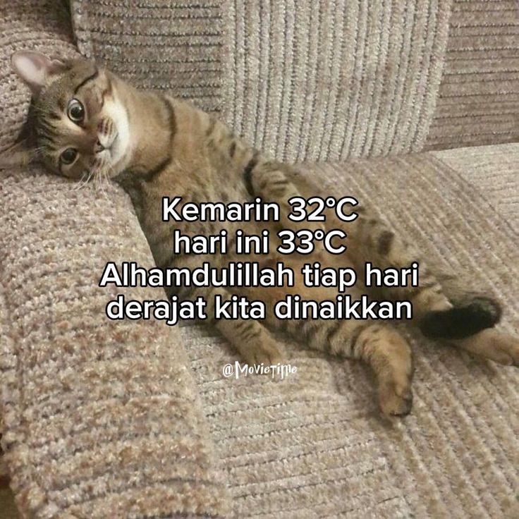 ally𓍯 tweet media