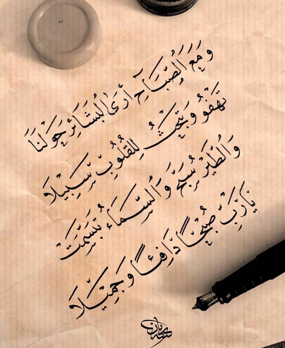 نـــوف وكفى💕 tweet media