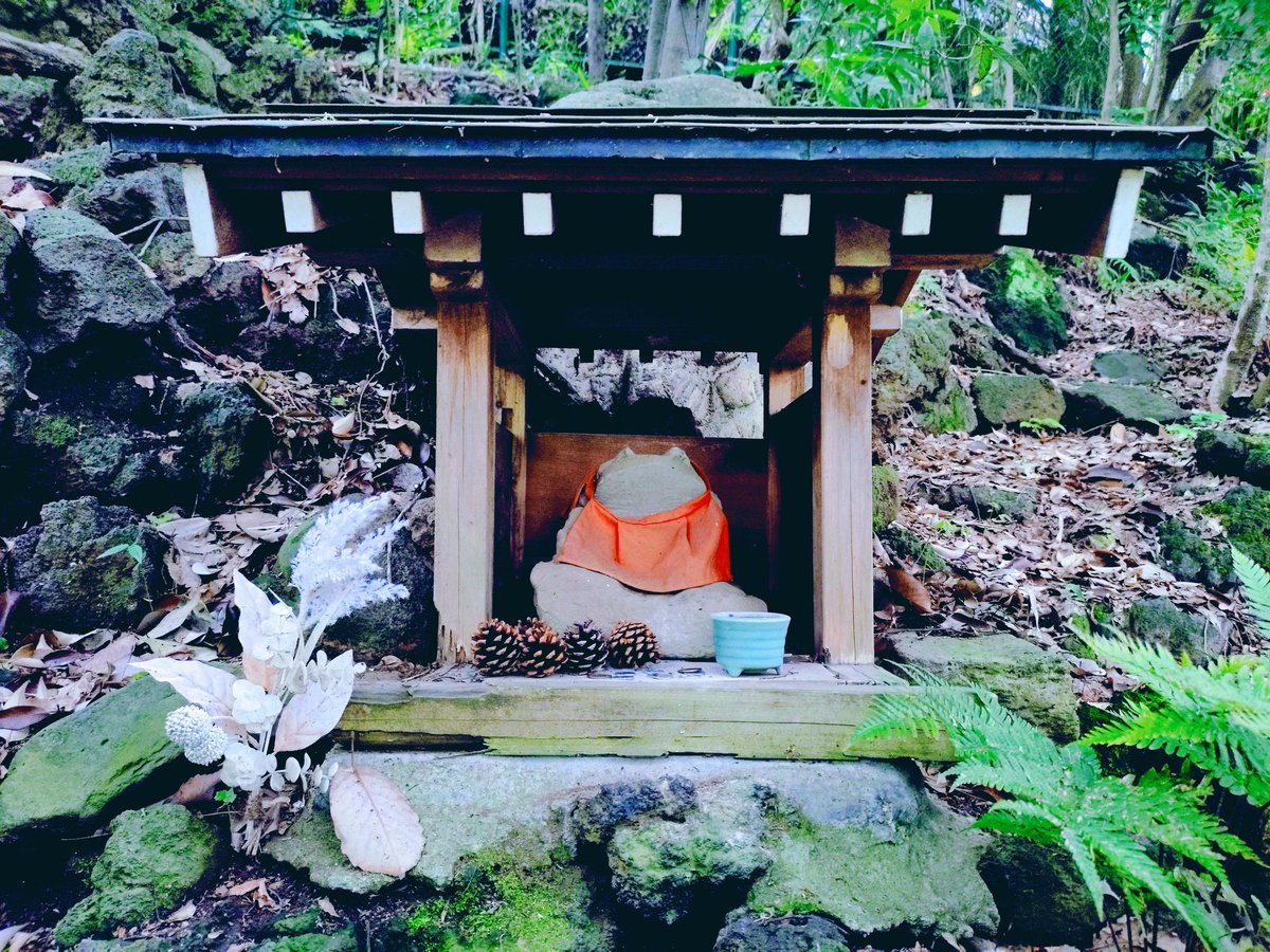本日、AIに任せて等々力渓谷に来てます。やっと工事終わって中に入れるようになってました。
結構人が多いです。
