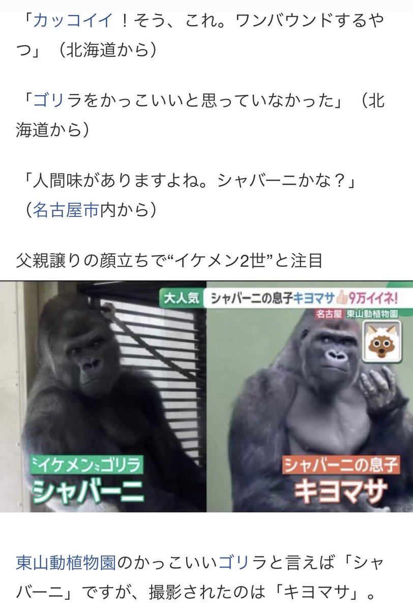 exkij's tweet photo. @sumikaken 愛知満喫してください〜🦍🦍✨✨✨ https://t.co/HmPNXpFJSc