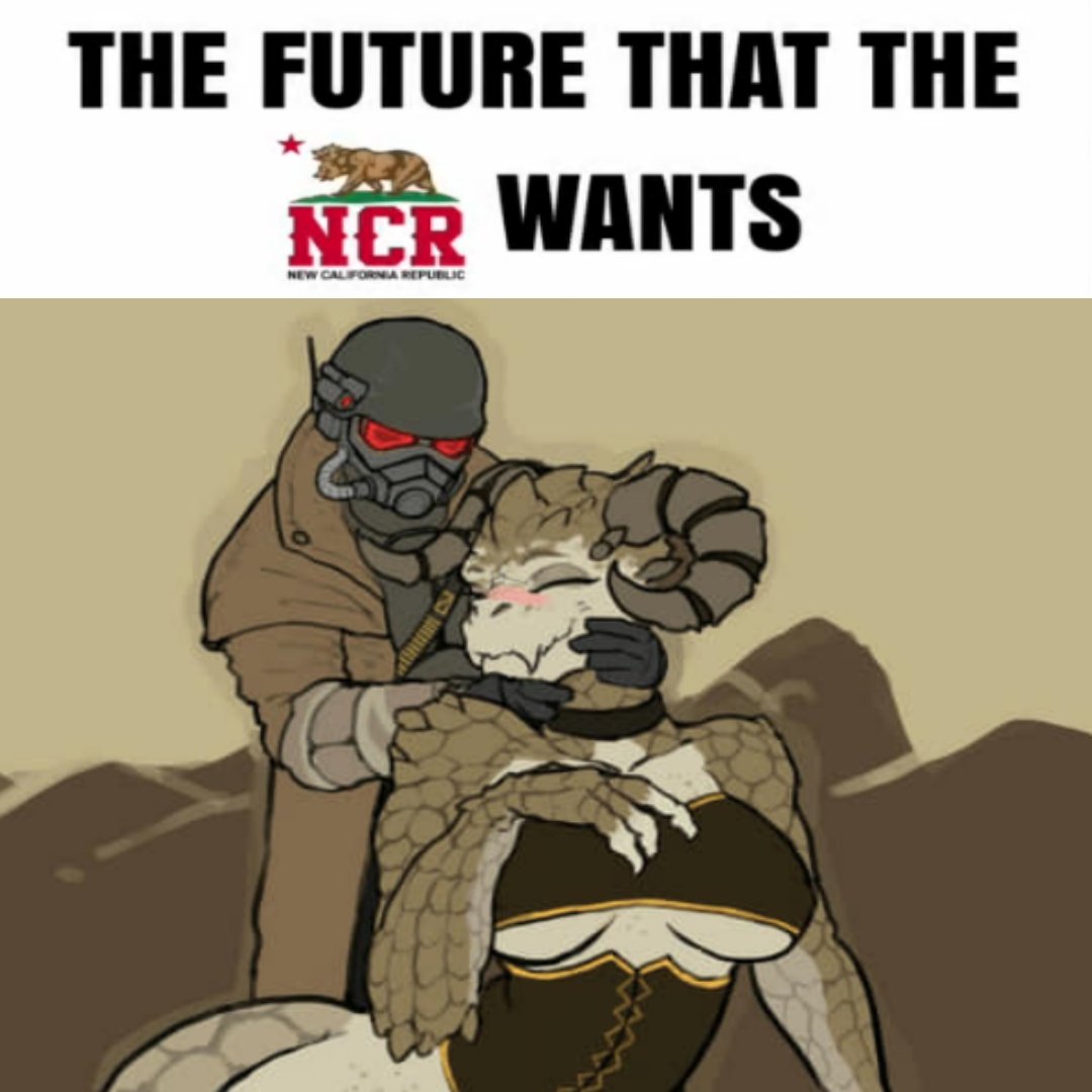 Rock Solid tweet media