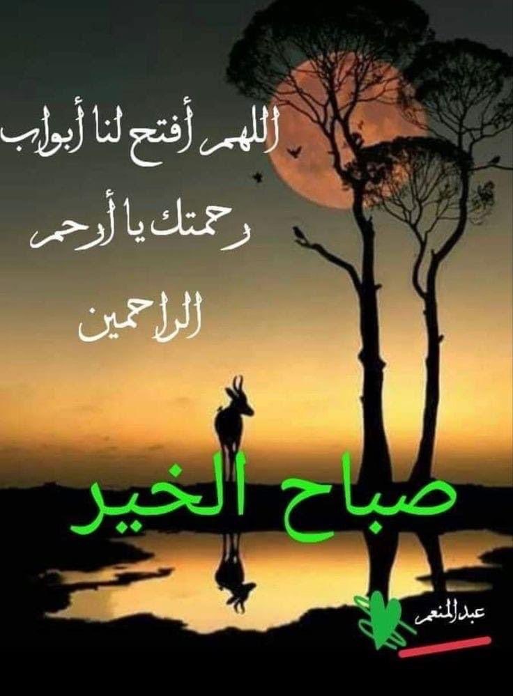 راشد بن حزام tweet media