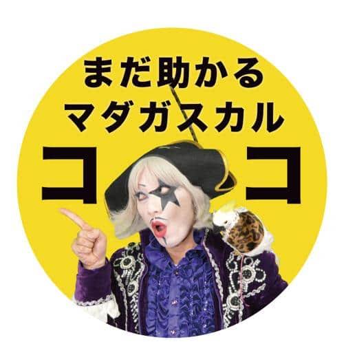 ωヒカ✽ tweet media