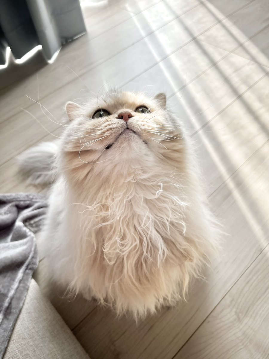 すぽんじ こーた🌈そ 西1こ-15 tweet media