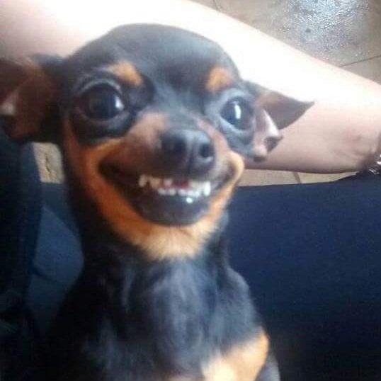 الحب tweet media