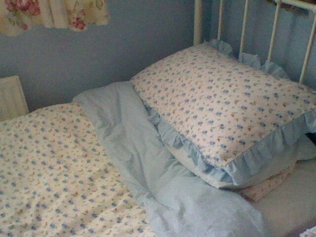 🫧Blue Pearl🫧 tweet media