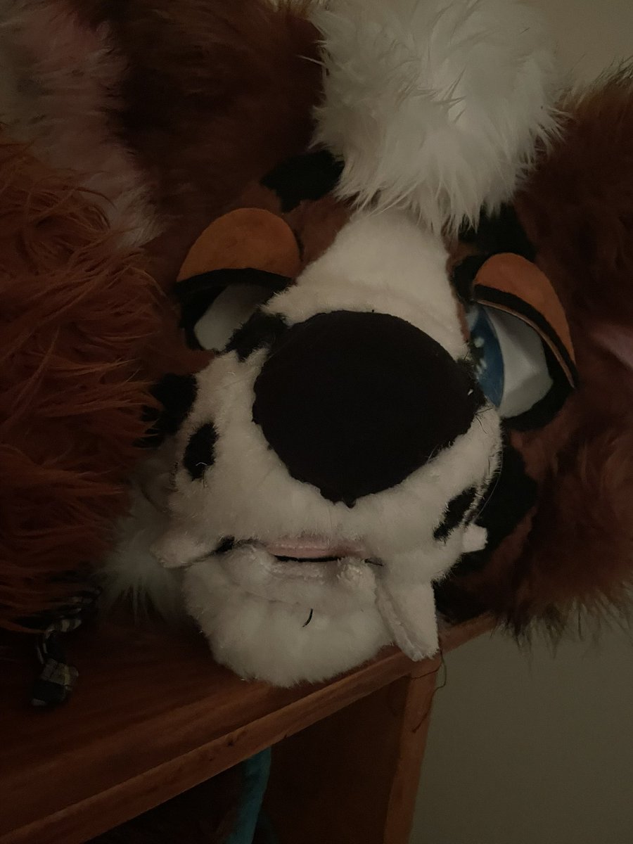 brappy_bou's tweet photo. FWA do’s and dont’s!!

Do ✅✅👍
- be cool
- ask to hug/take pictures/hang

Don’t ❌❌😡
- be uncool
- be freaky with me in public con spaces 

Thanks, see all you stinkers there :3 https://t.co/FVzhmDOhzi