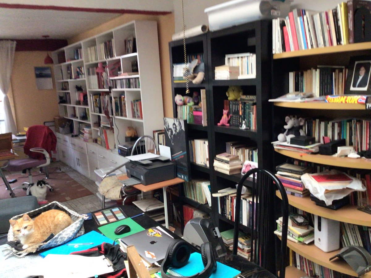 Alfredo Maeese tweet media