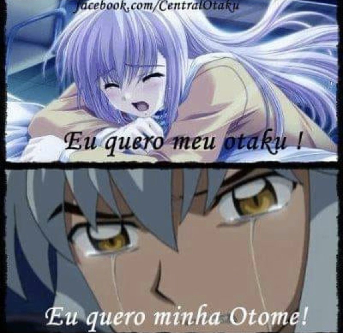 Guto Barbosa ⏱🥁 tweet media