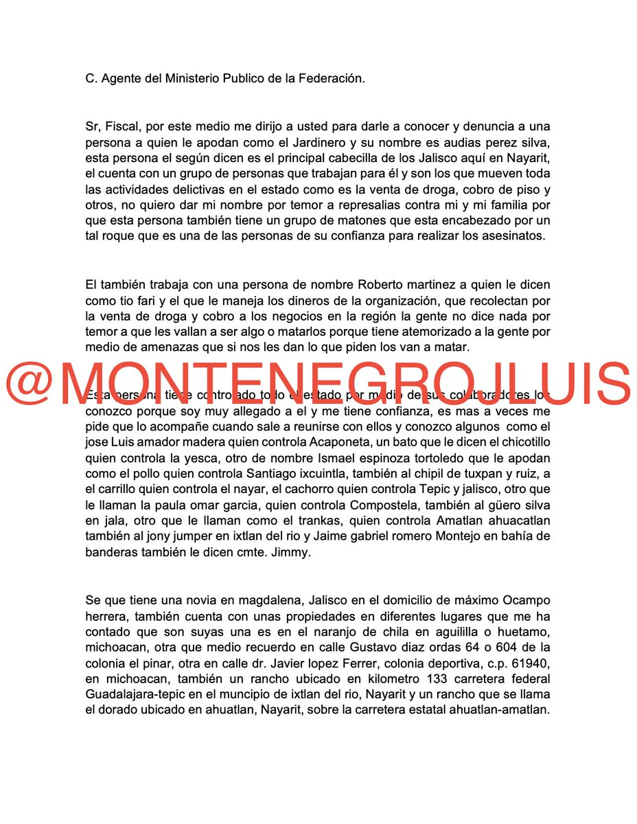 José Luis Montenegro tweet media