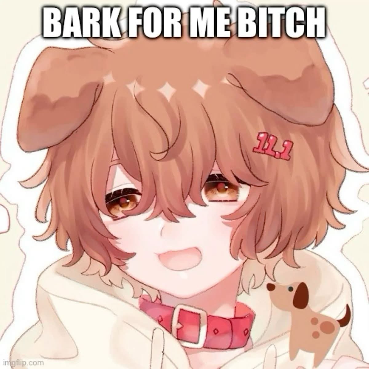 🩹👾sammie🐇 tweet media