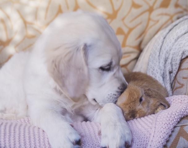 Nice friendship..... Love with each other's!