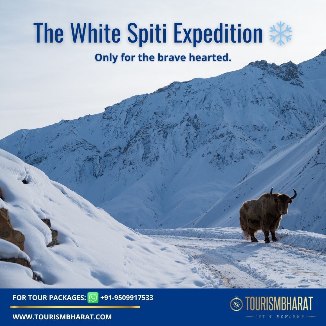 TourismBharat's tweet image. The White Spiti Expedition ❄️ #WinterSpiti #SnowLeopard #AdventureTravel #HimachalPradesh #ExtremeTravel #Offbeat  tourismbharat.com