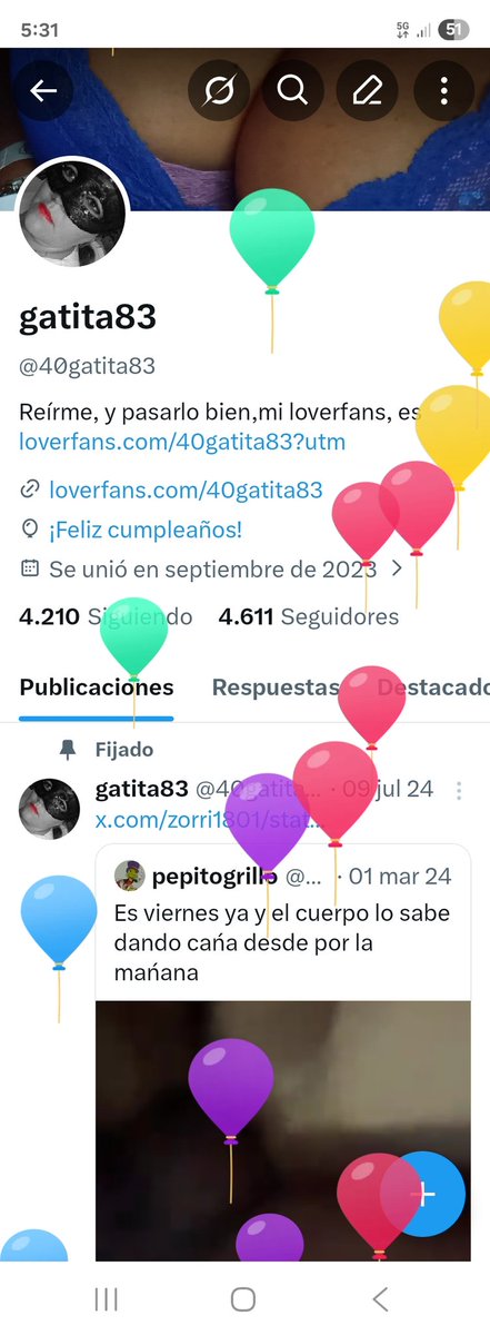 gatita83 tweet media