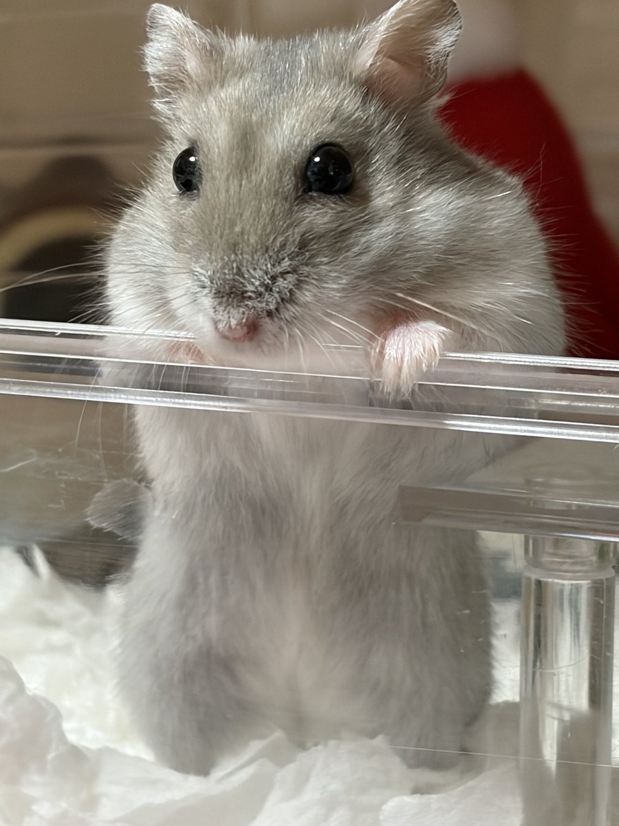 紫愛(じゅりあ) tweet media