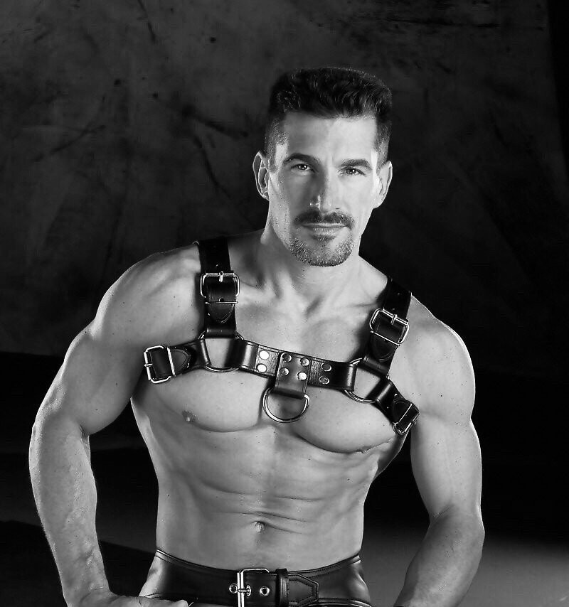 INLEATHERGLOVES tweet media