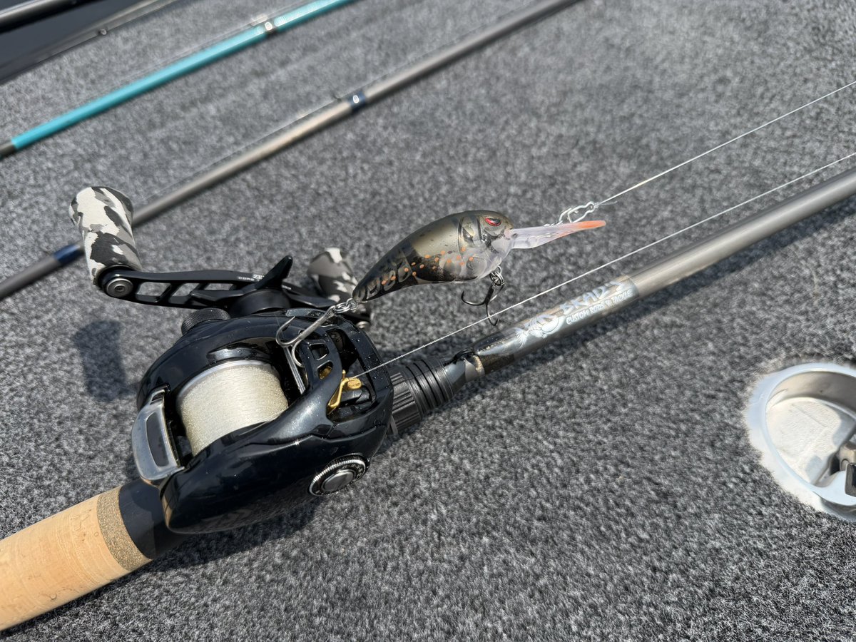 釣竿いかがでしょうか❓ The joy of bending and catching in Tokyo Bay [Keiichi Matsumoto