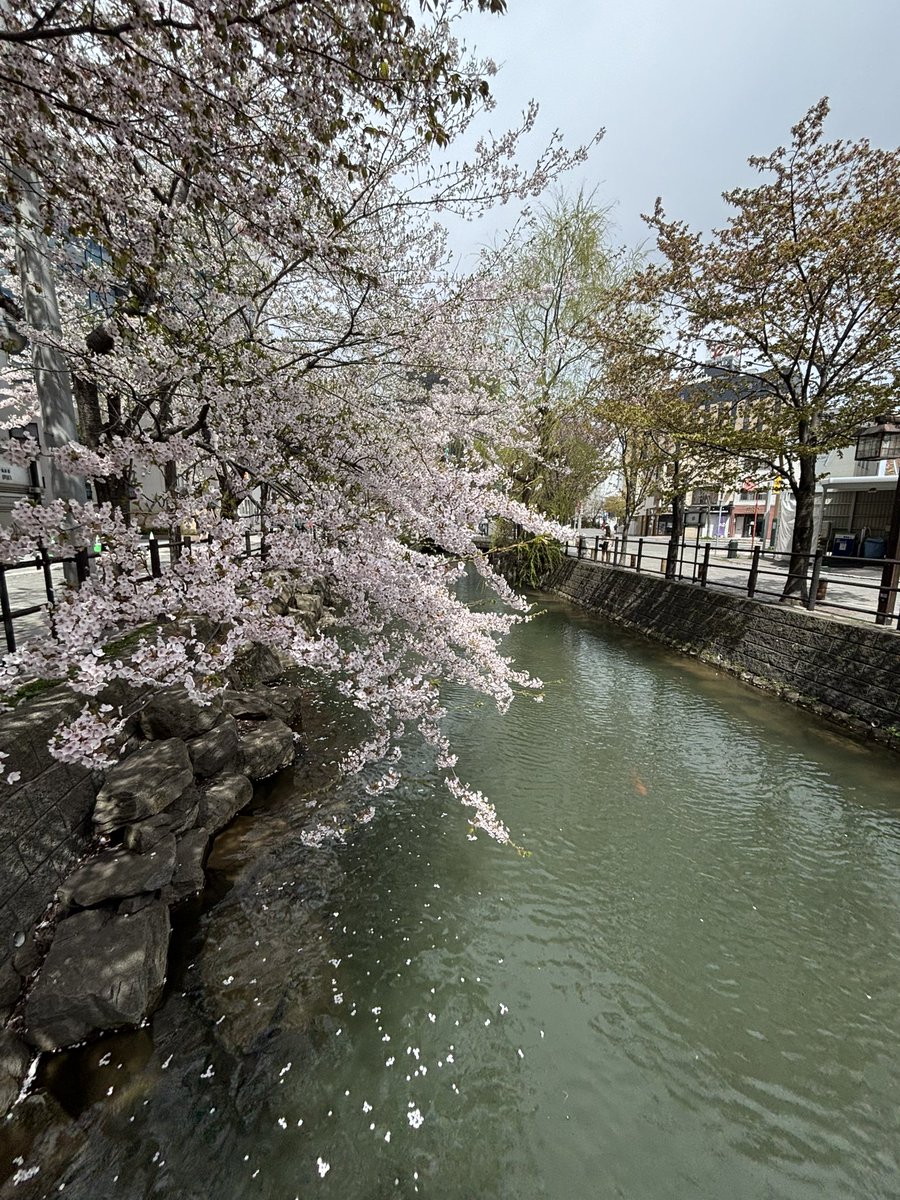 まお 4/29ROTTENGRAFFTY tweet media