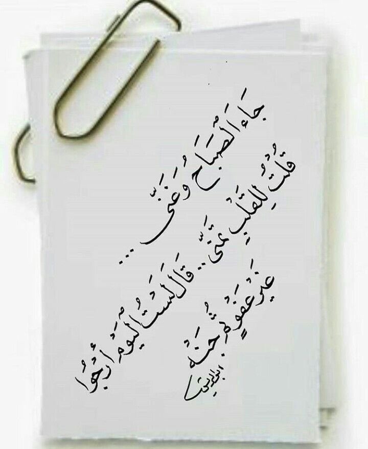 نـــوف وكفى💕 tweet media