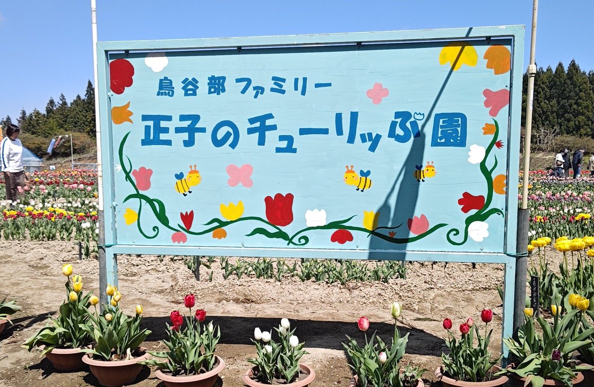 maconoTX's tweet photo. 五戸の「正子のチューリップ園」
来てみました   
まだ咲いてないチューリップも多かった
５月入ったら見頃かもね https://t.co/Htg7ySoe5o