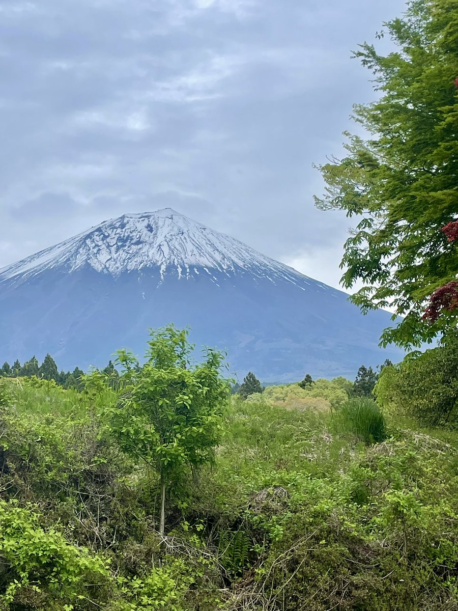3top4's tweet photo. 曇ってるけどけど富士山綺麗✨ https://t.co/Ypw0MhubuO