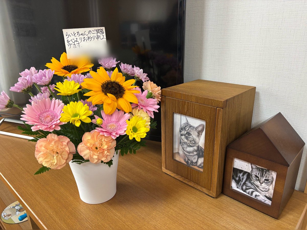 chatarolight's tweet photo. 雷斗が亡くなった事を動物病院に伝えたら、動物病院からお悔やみのお花が届いた😭
先生に伝えた時も泣いてしまったけど、今日も号泣してしまった😭

可愛いお花が届いたよ🌼
雷ちゃん、見てる〜？？ https://t.co/N0spnyIqAa