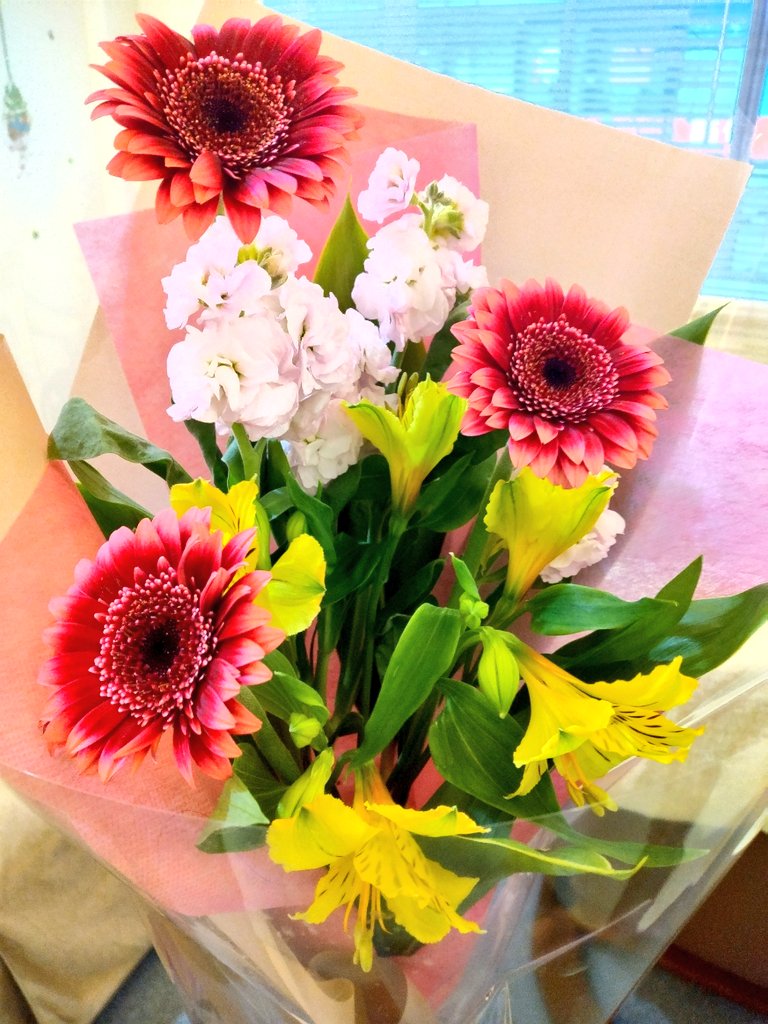 RTops0411's tweet photo. ゴールデンウイーク中も休まず営業いたします🌷
旅行や帰省のお客様で予約が混み合いますので、早めの予約をお待ちしております🌱
皆様のご来店心よりお待ちしております🎏

#富山県 
#富山市 
#富山市西町 
#toytma
#ガラス美術館 
#nytimes https://t.co/sWKggwPOTU