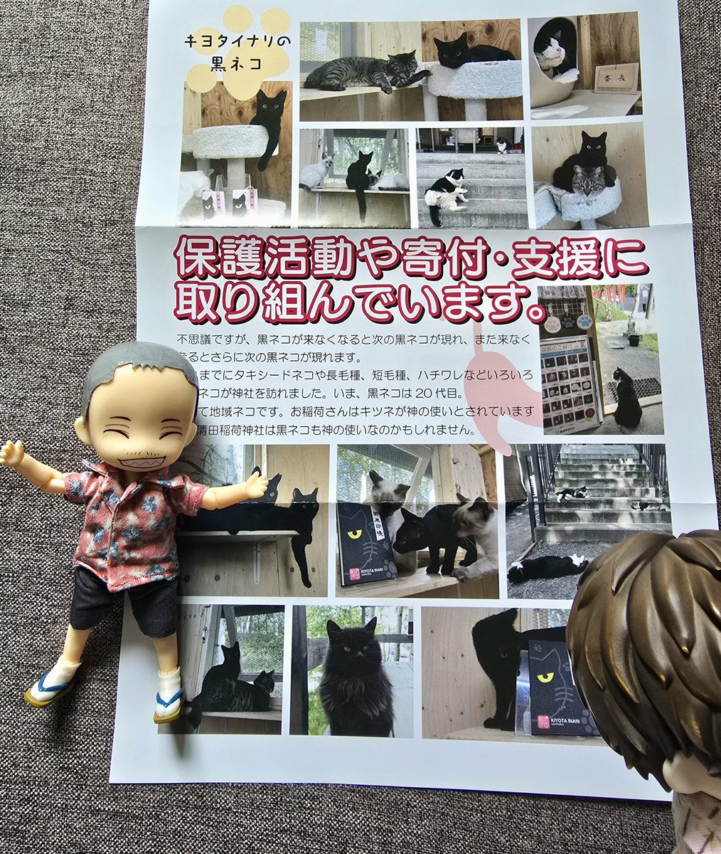 こねズーミ@私は探偵の隣に居た tweet media