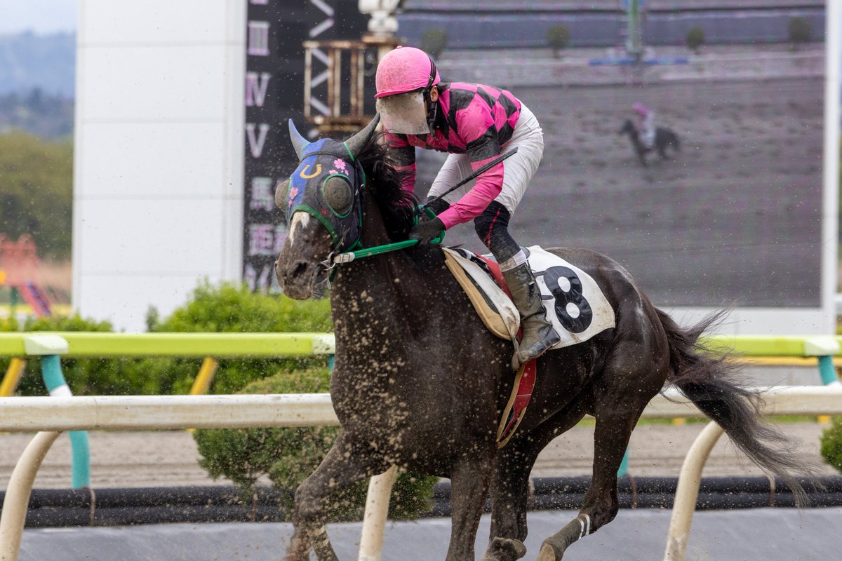 ほむん tweet media