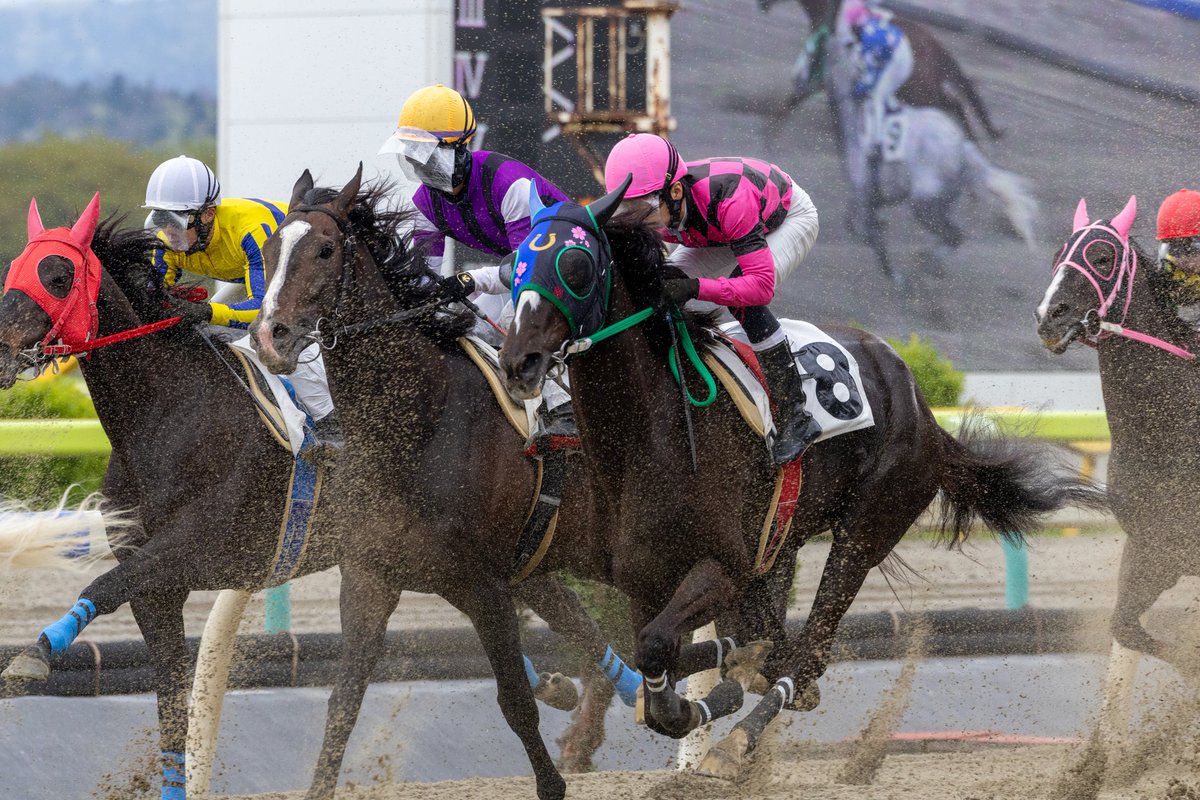 ほむん tweet media