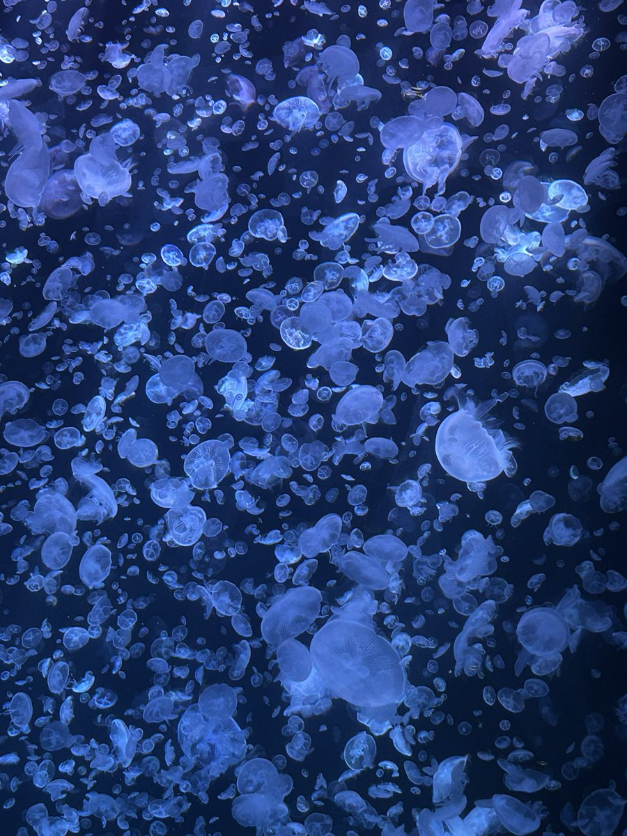 おさD@求道僧 tweet media