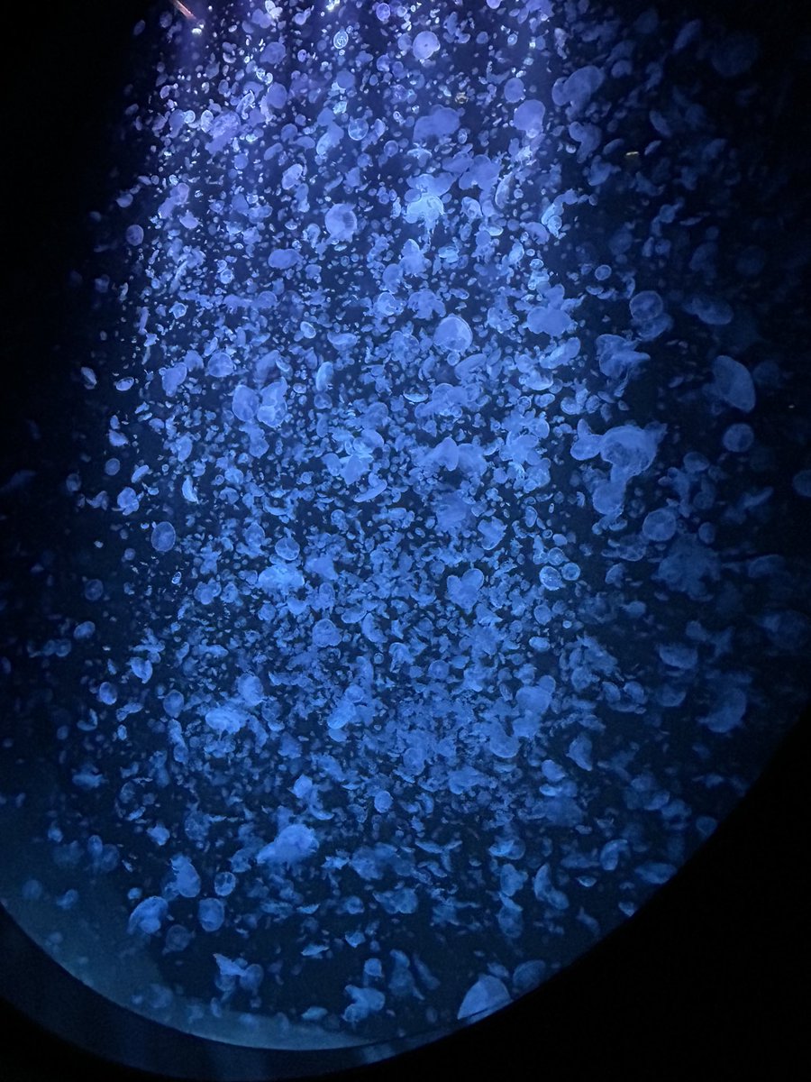 おさD@求道僧 tweet media