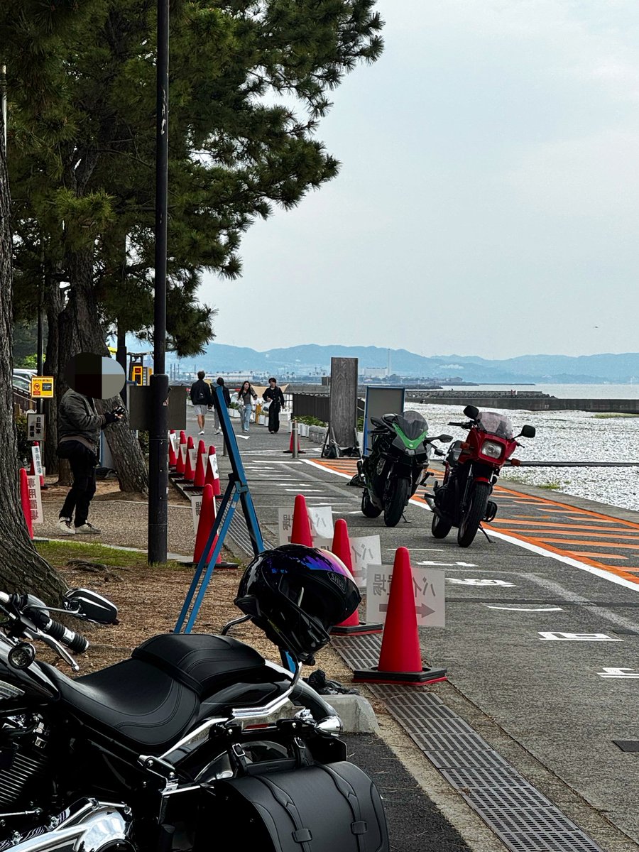 【ミッチャン…3月3日迄】 久しぶりのマーブル🌊 文字読めない人まだ居たのね😩 園路上での撮影は