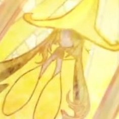 𝘮𝘢𝘦 𖹭 tweet media