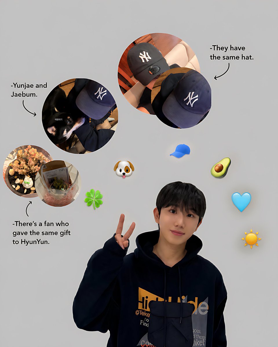 Gaspar🌟 tweet media