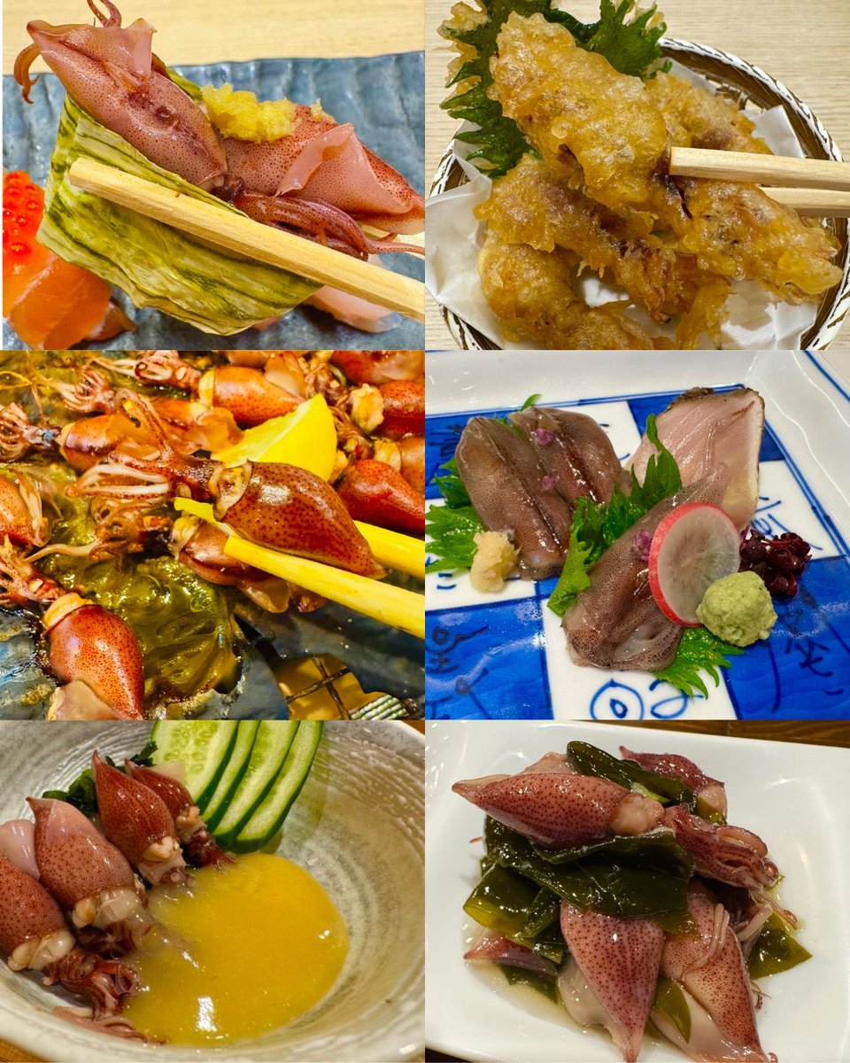 【公式】寿司といえば富山DAO tweet media