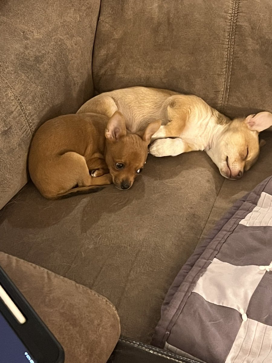 Heather “Z’s old lady” tweet media