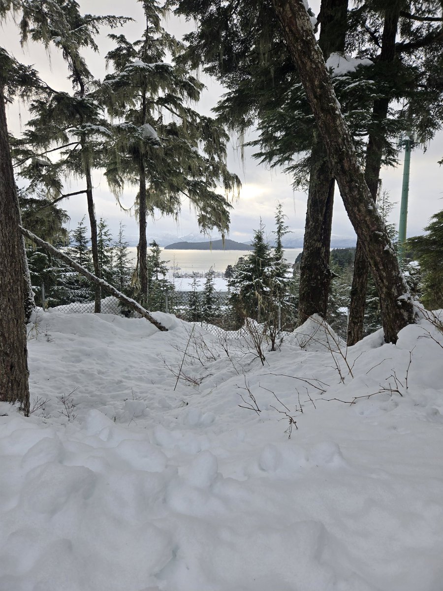 Kolosch (@a_pasta_see) on Twitter photo 