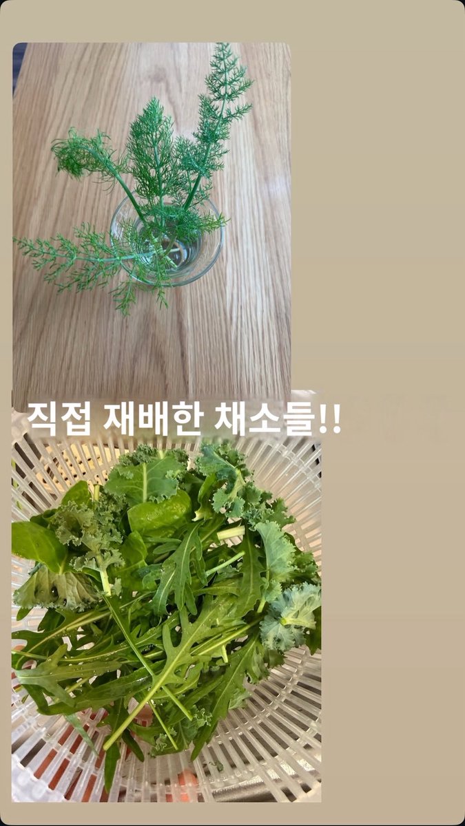 김광독(상태:빡대갈) tweet media