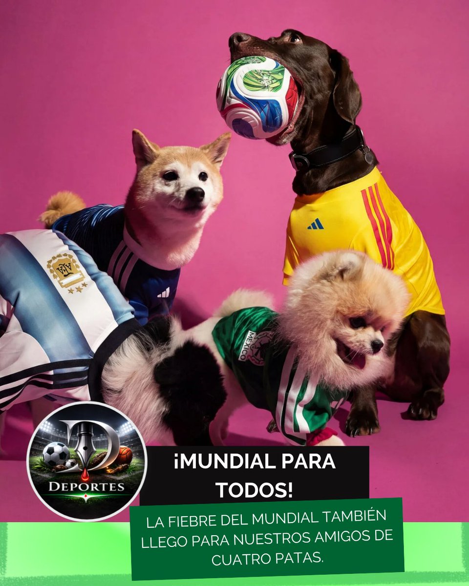 DisidenteNoti's tweet image. El camino hacia el #mundial2026 ya no es solo para los humanos. La marca deportiva #adidas  ha presentado oficialmente una colección especial de #jerseys diseñada exclusivamente para perros, inspirada en los uniformes de selecciones icónicas como #México , #Argentina , #Colombia