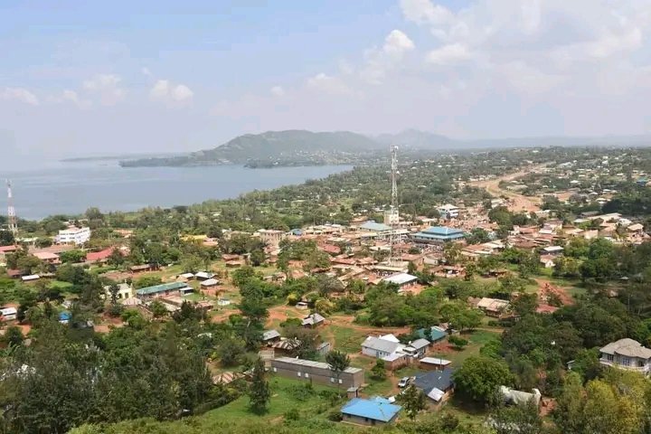 DHOLUO DICTIONARY , PhD tweet media